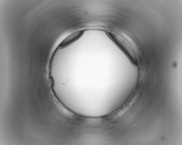 X0000093571196200711121029