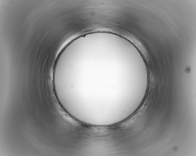 X0000093571198200711121029