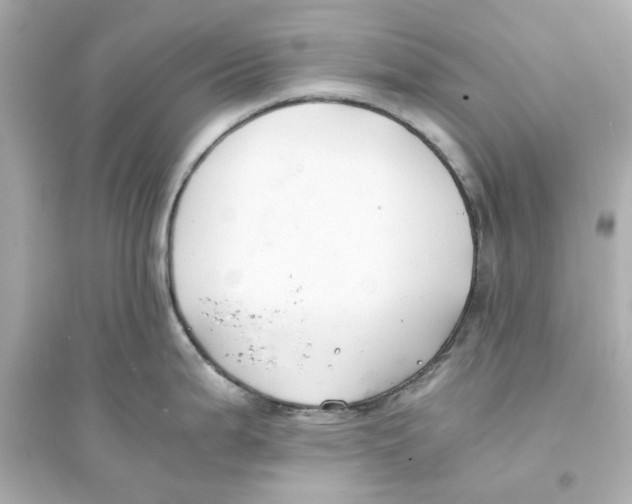 X0000093571199200711121029