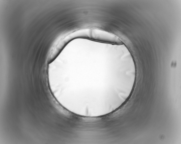 X0000093571200200711121029