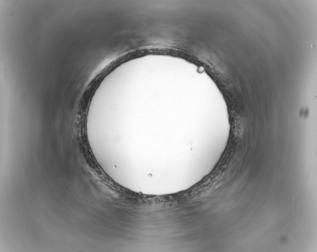 X0000093571208200711121029