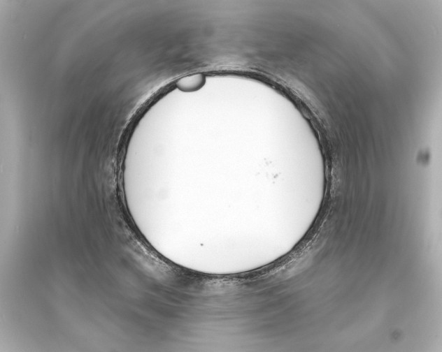 X0000093571212200711121029