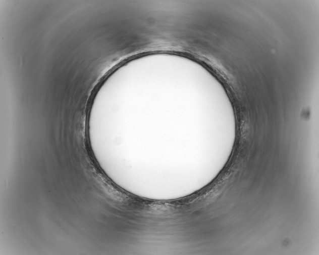 X0000093571220200711121029