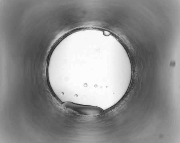 X0000093571224200711121029