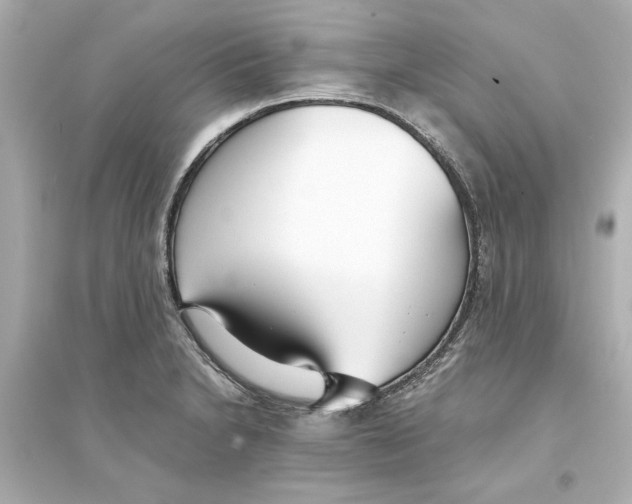 X0000093571230200711121029