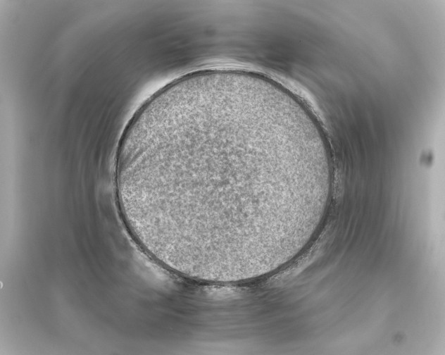 X0000093571231200711121029