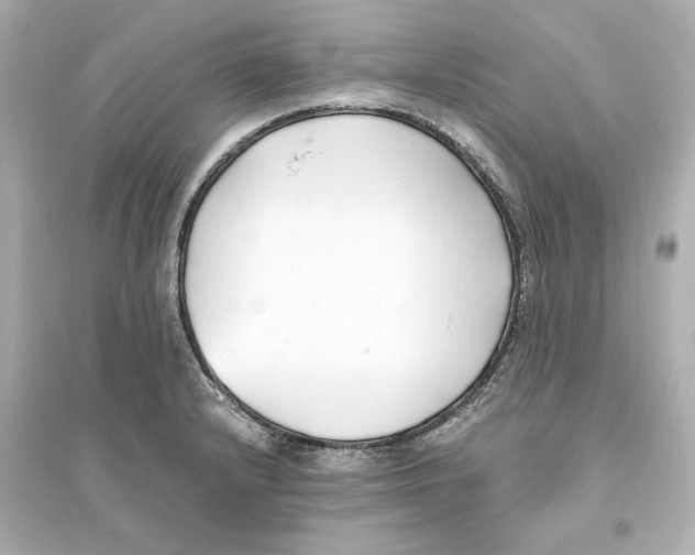 X0000093571232200711121029