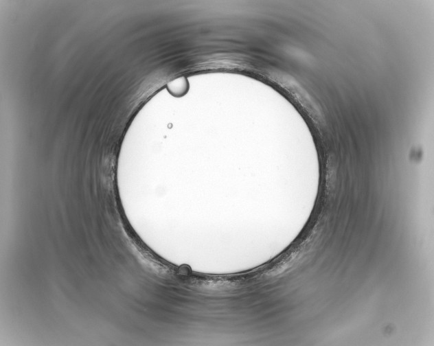 X0000093571233200711121029