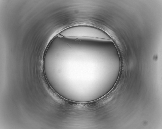 X0000093571234200711121029