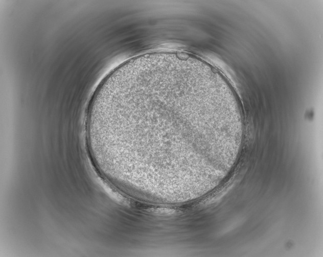 X0000093571235200711121029