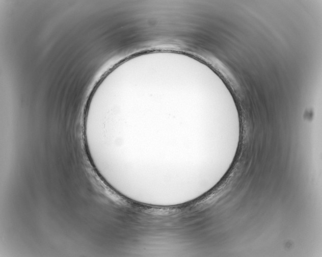 X0000093571240200711121029