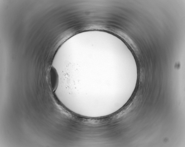 X0000093571241200711121029