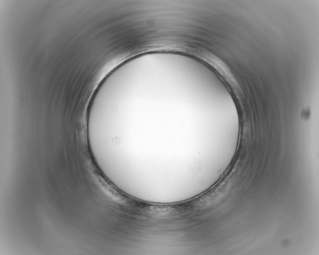 X0000093571242200711121029