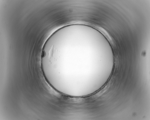 X0000093571244200711121029