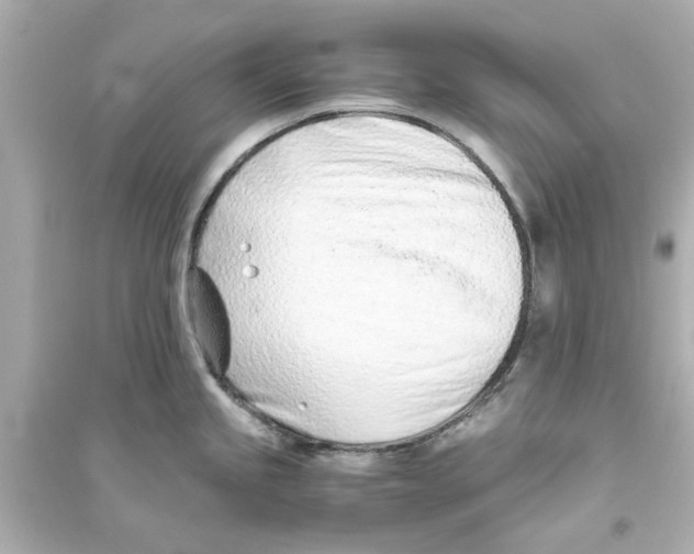 X0000093571245200711121029