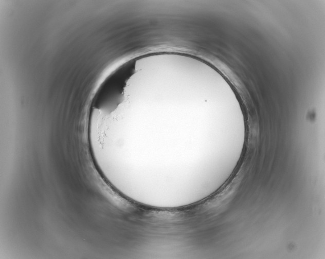 X0000093571246200711121029
