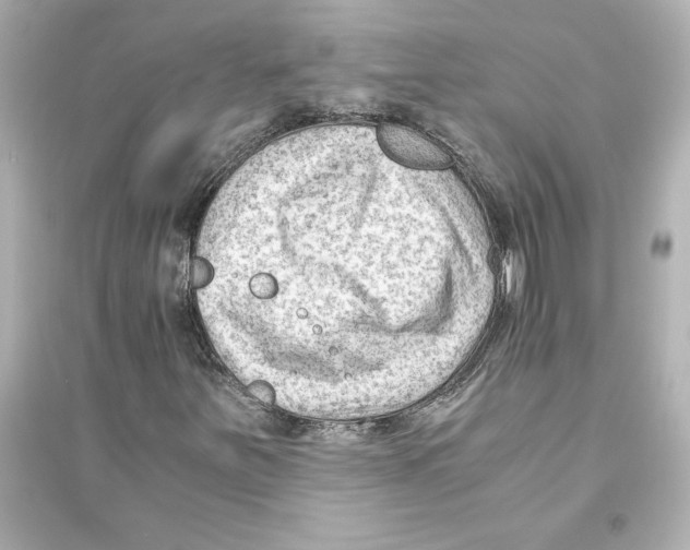 X0000093571251200711121029