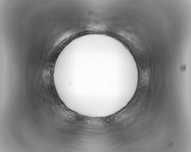 X0000093571254200711121029