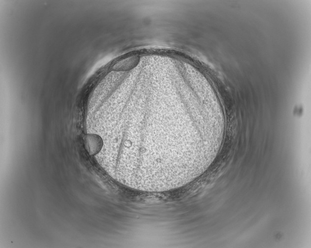 X0000093571255200711121029
