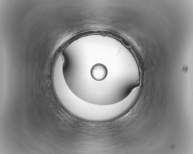 X0000093571261200711121028