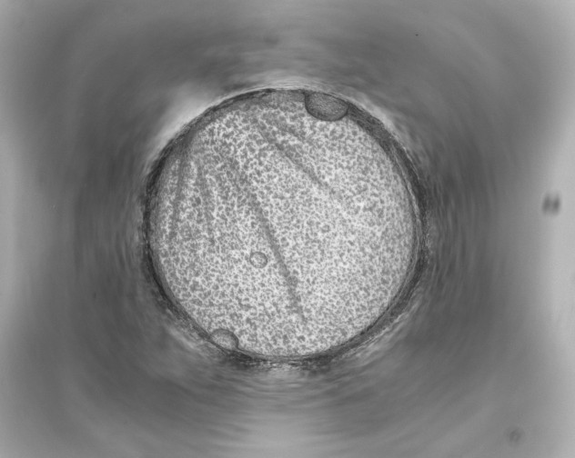 X0000093571263200711121028