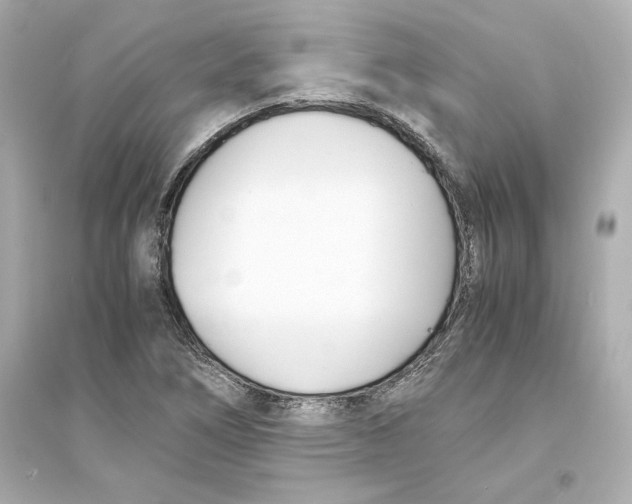X0000093571266200711121028