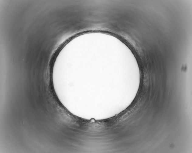 X0000093571270200711121028