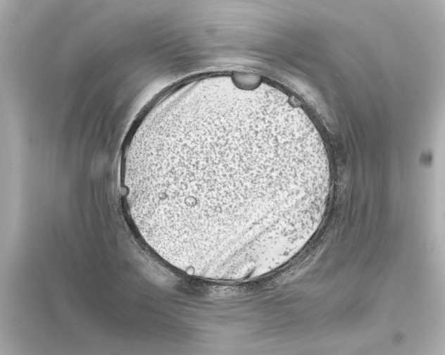 X0000093571275200711121028