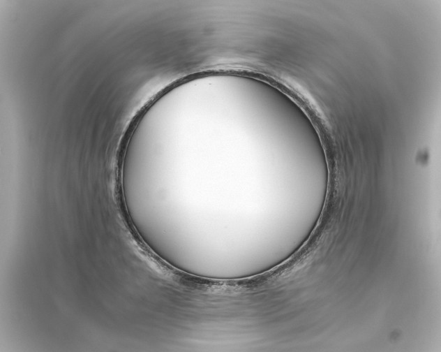 X0000093571277200711121028