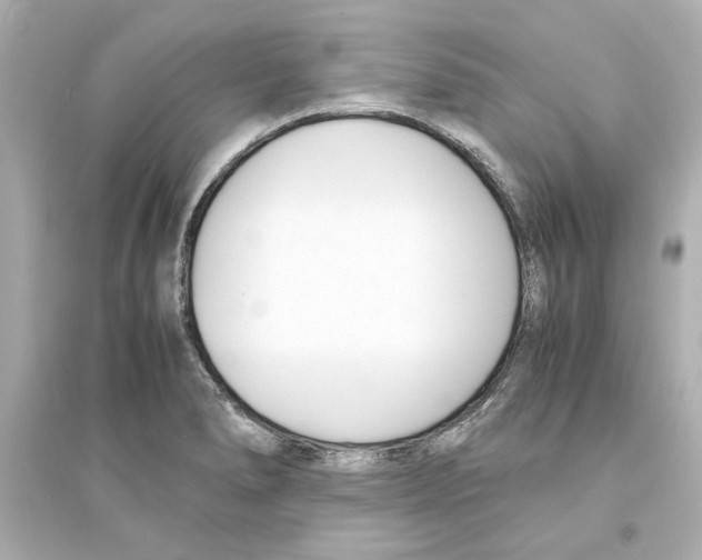 X0000093571278200711121028