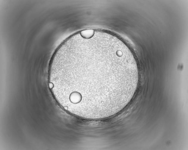 X0000093571279200711121028