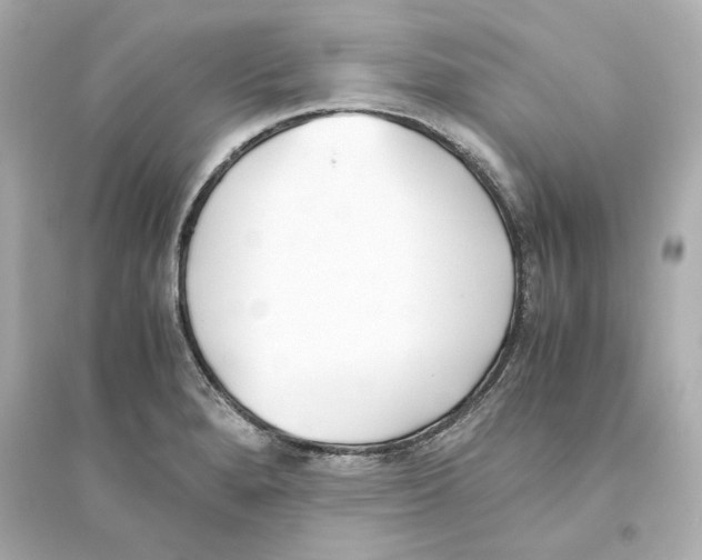 X0000093571280200711121028