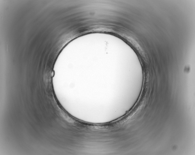 X0000093571281200711121028