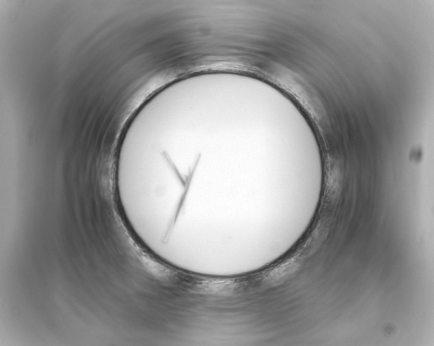 X0000093571282200711121028