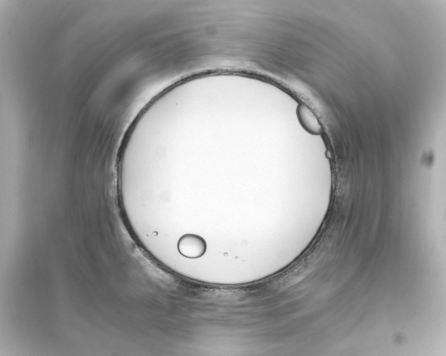 X0000093571287200711121028