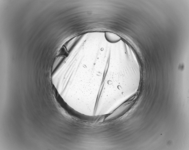 X0000093571289200711121028