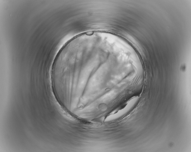 X0000093571291200711121028