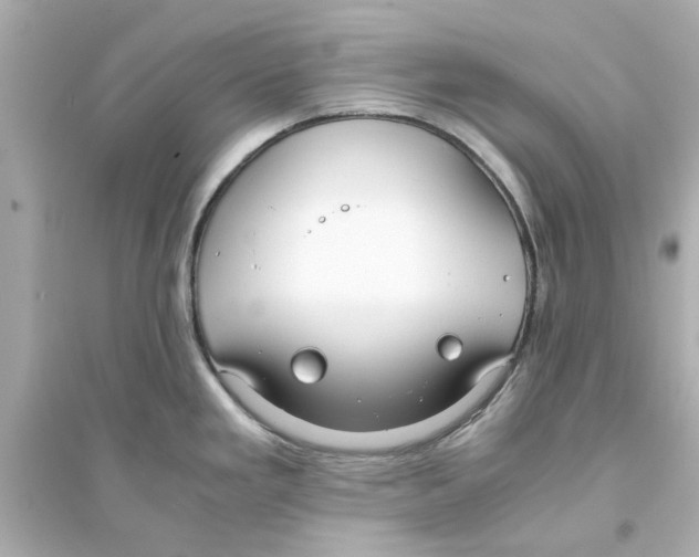 X0000093571293200711121028