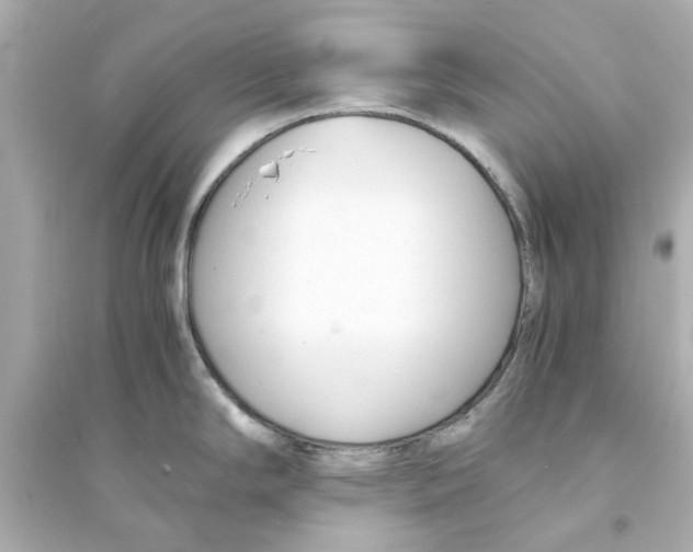 X0000093571294200711121028