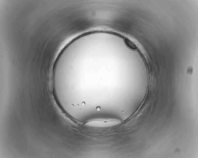 X0000093571295200711121028