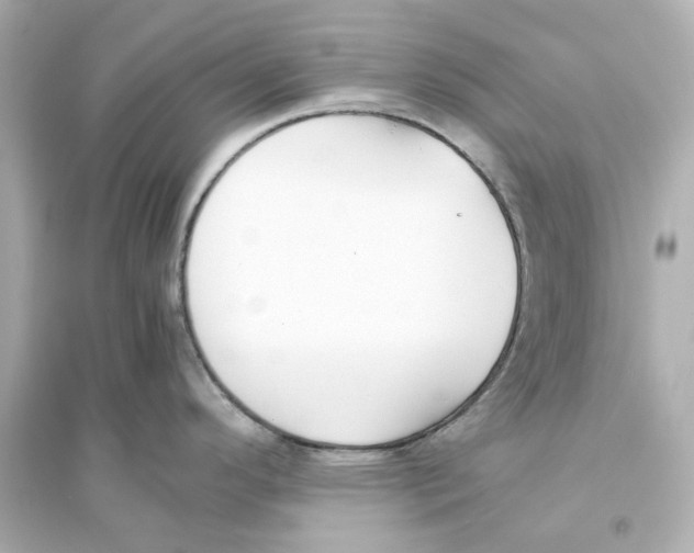 X0000093571296200711121028