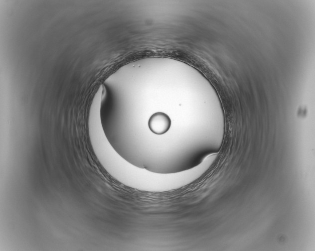 X0000093571298200711121027