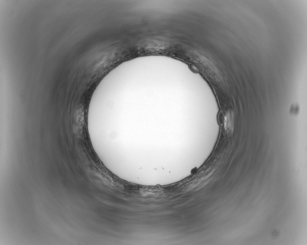 X0000093571299200711121027