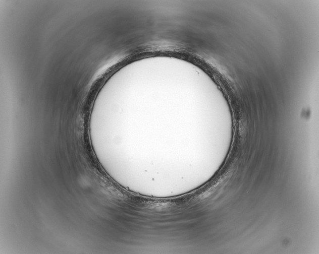 X0000093571309200711121028
