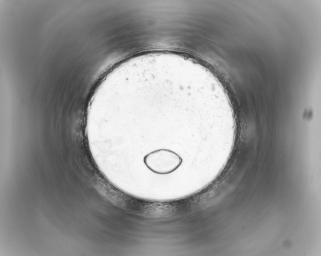 X0000093571314200711121028