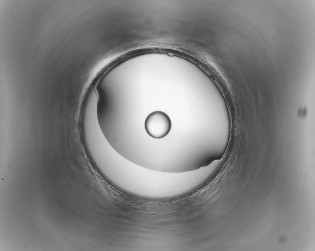 X0000093571320200711121028