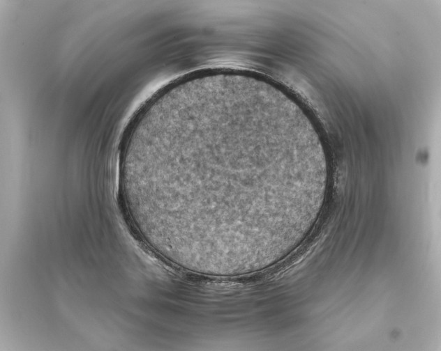 X0000093571323200711121028