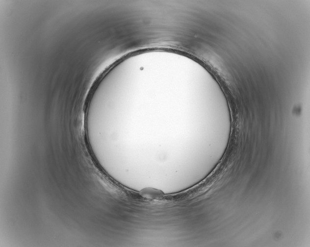 X0000093571324200711121028