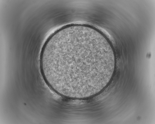 X0000093571327200711121028