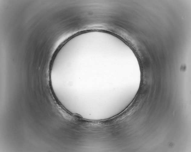 X0000093571328200711121028